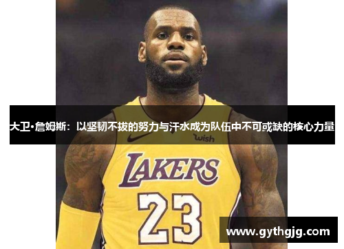 大卫·詹姆斯：以坚韧不拔的努力与汗水成为队伍中不可或缺的核心力量