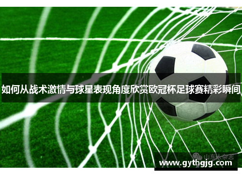 如何从战术激情与球星表现角度欣赏欧冠杯足球赛精彩瞬间